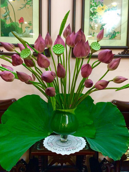 Học cách cắm hoa sen đơn giản mà tinh tế