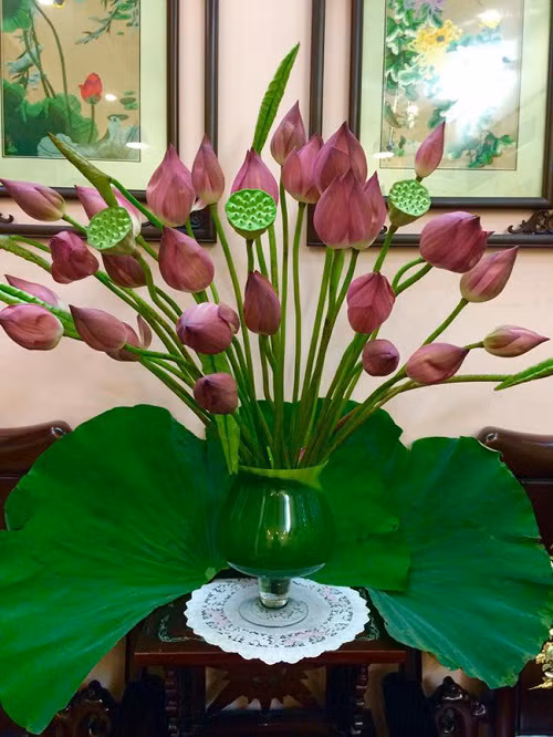 Học cách cắm hoa sen đơn giản mà tinh tế