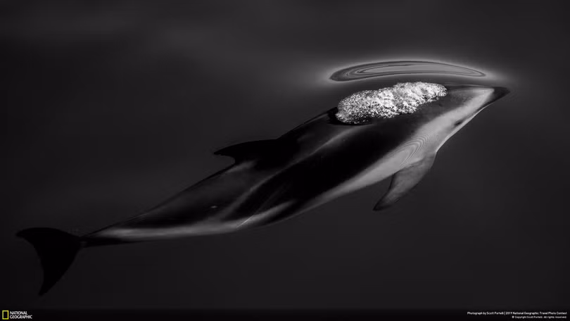 “Mùa đông ở Greenland” đoạt giải đặc biệt ảnh du lịch 2019