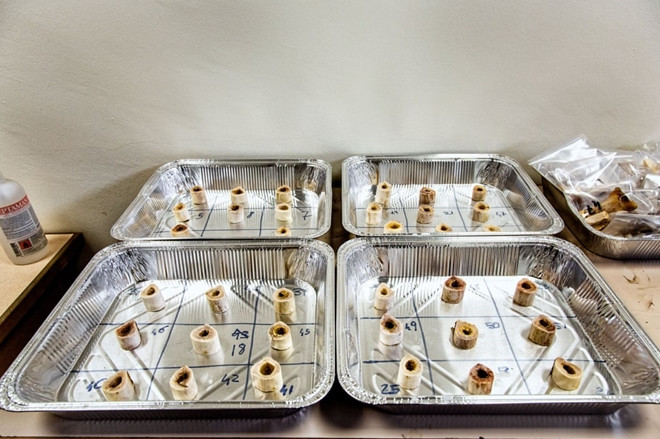 Những hình ảnh tái hiện con đường di dân chết chóc trên Địa Trung Hải