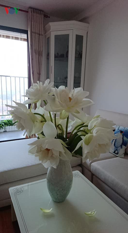 Học cách cắm hoa sen đơn giản mà tinh tế