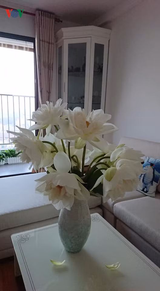 Học cách cắm hoa sen đơn giản mà tinh tế