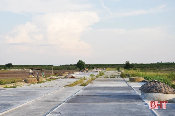 Thu nhập “bọt bèo”, đồng muối Hộ Độ giờ chỉ còn người già làm việc!