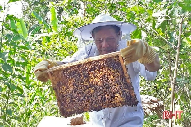 Sức lan tỏa từ việc học tập và làm theo Bác ở Vũ Quang