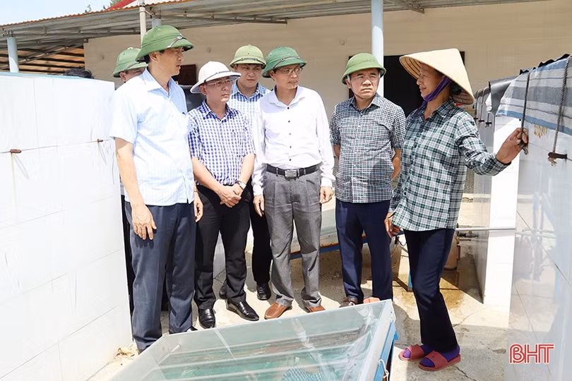 Tham gia OCOP phải đi từ chính năng lực sản xuất, chất lượng sản phẩm