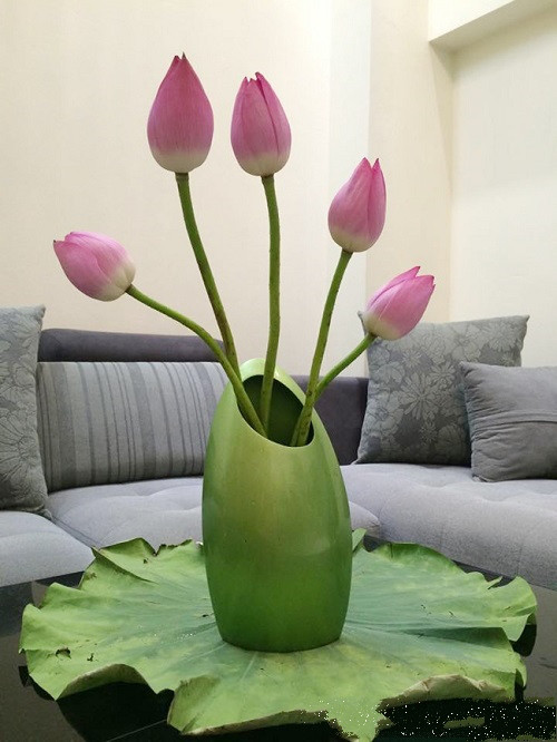 Học cách cắm hoa sen đơn giản mà tinh tế