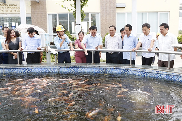Đoàn công tác Ban Tuyên giáo Trung ương khảo sát thực tế tại Hà Tĩnh