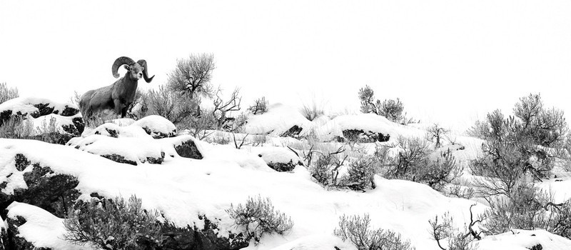 Ảnh thiên nhiên đẹp ngỡ ngàng ảnh 1 anh thien nhien dep ngo ngang