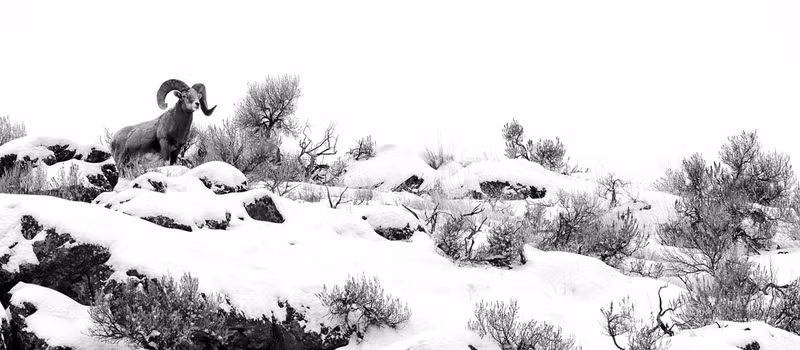 anh thien nhien dep ngo ngang