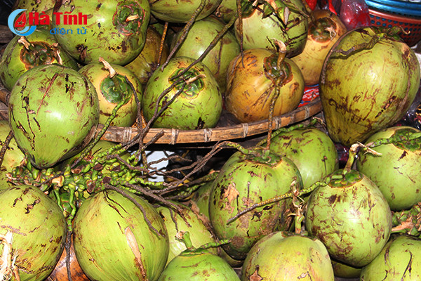 tet den chi em lai nao nuc lam mut dua