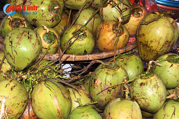 tet den chi em lai nao nuc lam mut dua