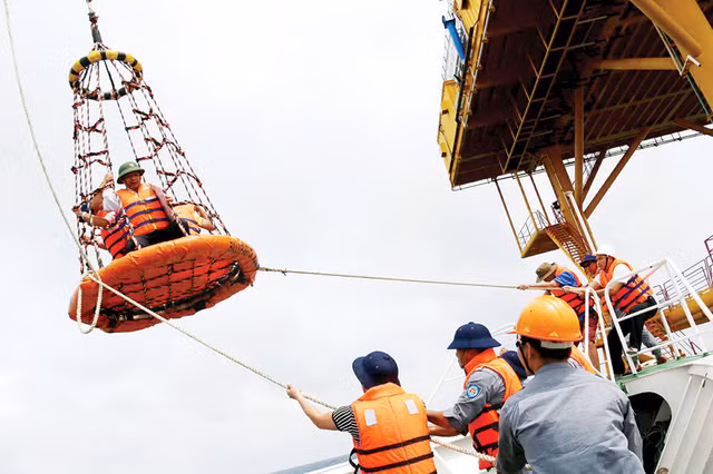 gay lai vuon rau nha gian dk1