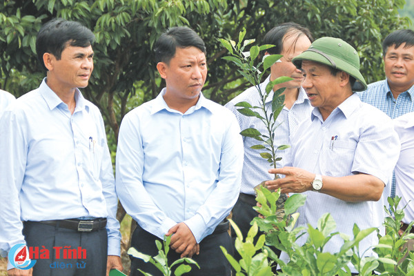 xay dung phong cach lam viec dan chu quan chung theo phong cach ho chi minh