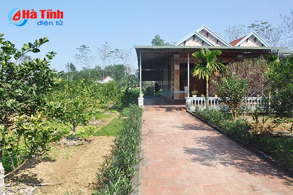 xanh muot nhung vuon rau cua me