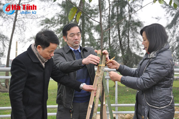 tp ha tinh trong hon 2 800 cay xanh huong ung tet trong cay