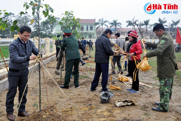 tp ha tinh trong hon 2 800 cay xanh huong ung tet trong cay