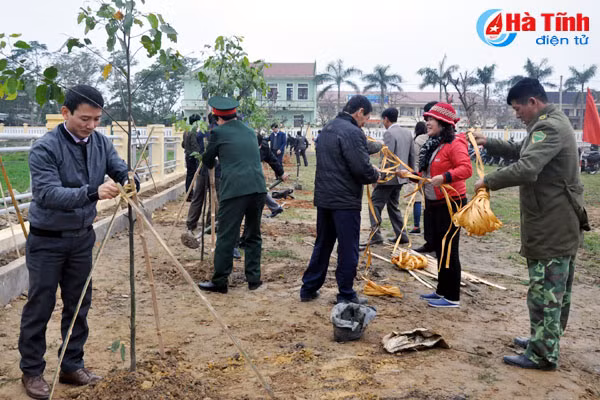 tp ha tinh trong hon 2 800 cay xanh huong ung tet trong cay