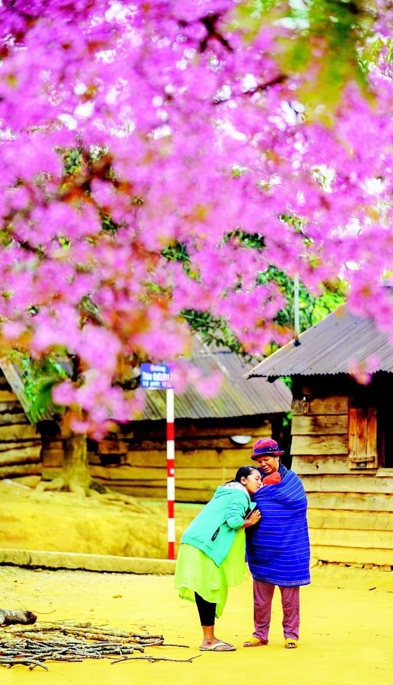 ai len xu hoa dao dung quen buoc lan theo duong hoa