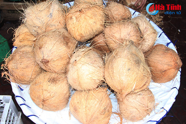 tet den chi em lai nao nuc lam mut dua