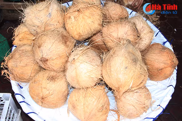 tet den chi em lai nao nuc lam mut dua