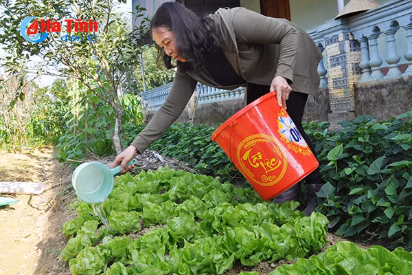 xanh muot nhung vuon rau cua me