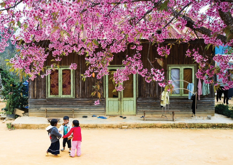 Lạc lối giữa vườn hồng “làm chơi, ăn thật” ở Hương Khê