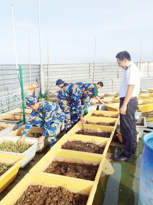 gay lai vuon rau nha gian dk1