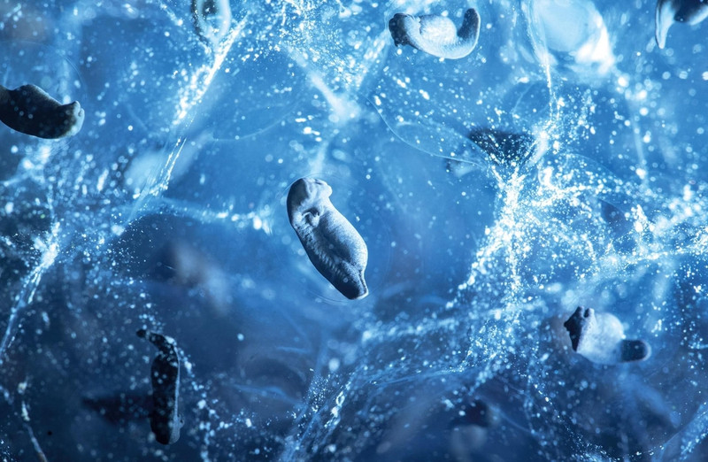 Ảnh thiên nhiên đẹp ngỡ ngàng ảnh 13 anh thien nhien dep ngo ngang