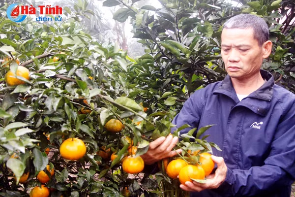 thuc hien chuyen de hoc tap bac nam 2018 hoc phai di doi voi hanh