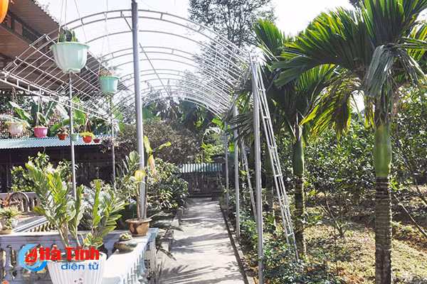 xanh muot nhung vuon rau cua me