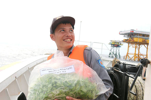 gay lai vuon rau nha gian dk1