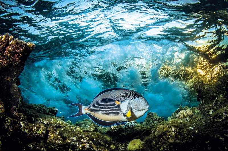 Ảnh thiên nhiên đẹp ngỡ ngàng ảnh 6 anh thien nhien dep ngo ngang