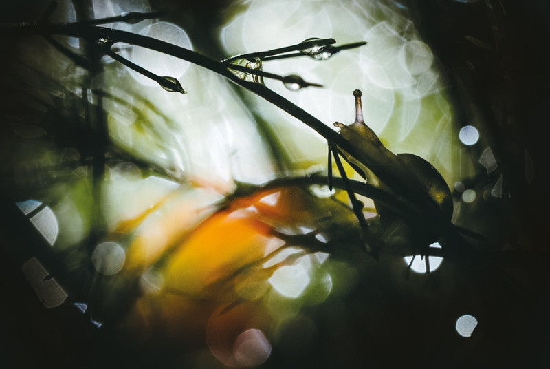 Ảnh thiên nhiên đẹp ngỡ ngàng ảnh 14 anh thien nhien dep ngo ngang