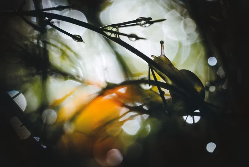 anh thien nhien dep ngo ngang