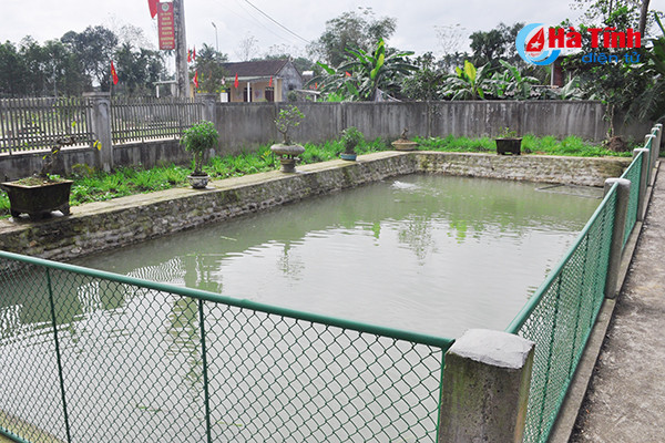 xanh muot nhung vuon rau cua me