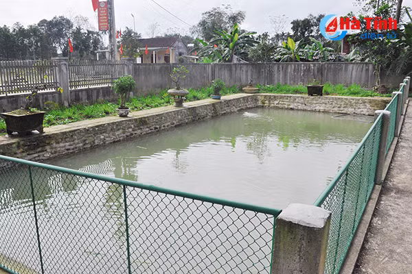 xanh muot nhung vuon rau cua me