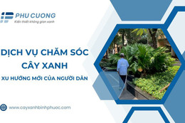 Dịch vụ chăm sóc cây xanh xu hướng mới của người dân