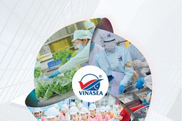 VINASEA Group: Hành trình thành công từ biển cả đến thế giới