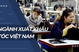 Xuất khẩu tóc: Ngành công nghiệp triệu đô của Việt Nam