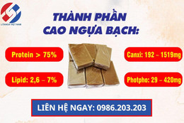 Kiểm chứng tác dụng của cao ngựa bạch vượt trội như thế nào?