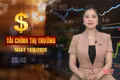  Tài chính thị trường ngày 10/6: Giá gạo đi xuống, kim ngạch "hụt hơi"