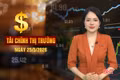 Tài chính thị trường ngày 25/5: Mua hàng online sắp mất lợi thế giá rẻ