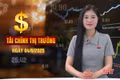 Tài chính thị trường ngày 4/6: Tàu nghìn tấn tấp nập vào ra bến số 3 cảng Vũng Áng 