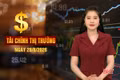 Tài chính thị trường ngày 28/8: Vợ chồng ông Phạm Nhật Vượng cùng đứng đầu bảng xếp hạng người giàu Việt Nam