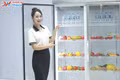 Tủ mát 3 cánh dung tích lớn được ứng dụng ra sao?