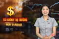 Tài chính thị trường ngày 24/9: “Chung cư 70–100 triệu đồng/m² ai mua nổi?”