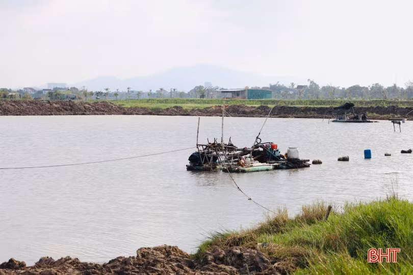 Nông dân Thạch Hạ ra quân hình thành vùng sản xuất quy mô lớn