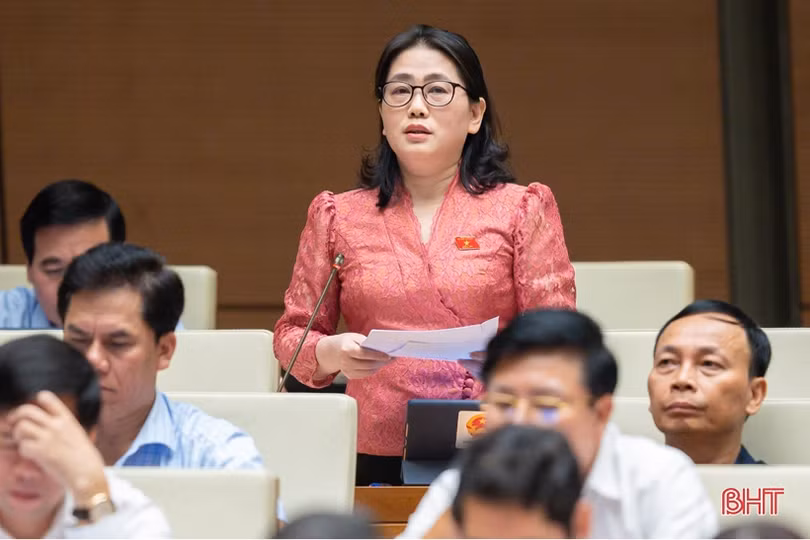 Đại biểu Quốc hội Hà Tĩnh thảo luận về dự án Luật Phòng, chống bạo lực gia đình (sửa đổi)