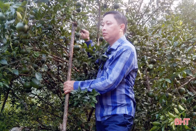 “Nhà sạch, vườn đẹp” giúp đoàn viên công đoàn huyện miền núi Hà Tĩnh ngày càng khấm khá