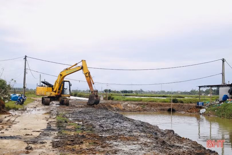 Nông dân Thạch Hạ ra quân hình thành vùng sản xuất quy mô lớn